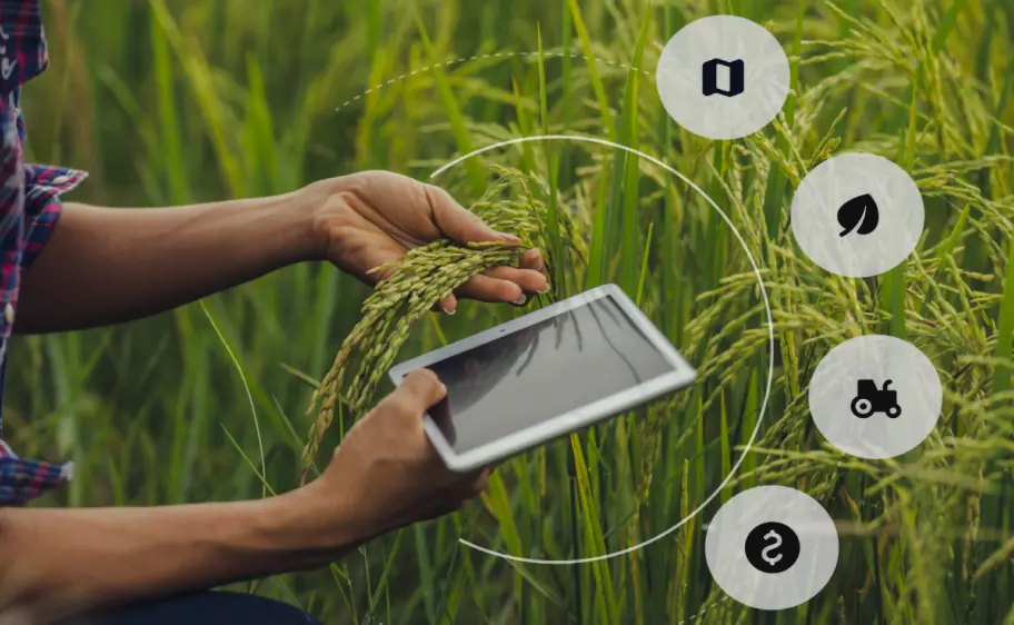 Explorând noile frontiere ale agriculturii digitale cu AgroCity! Descoperă o gestionare eficientă a fermelor chiar din palma ta. Monitorizare precisă și planificare inteligentă pentru culturile tale.